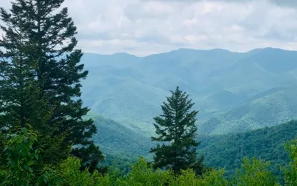 Loving Kindness (Metta) Meditation