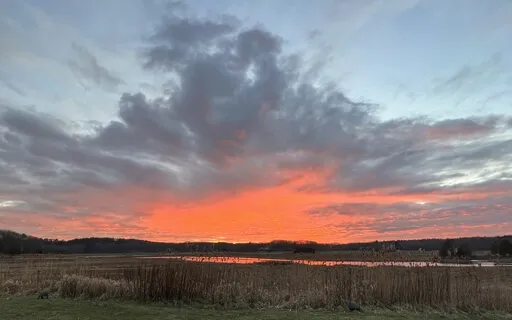 Loving Kindness Metta Meditation For Empathy And Compassion