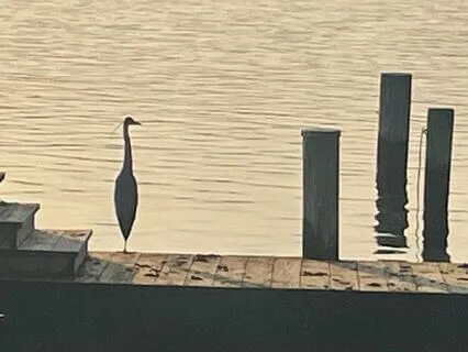 Loving-Kindness Metta Meditation