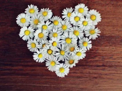 Loving Kindness: Metta Practice