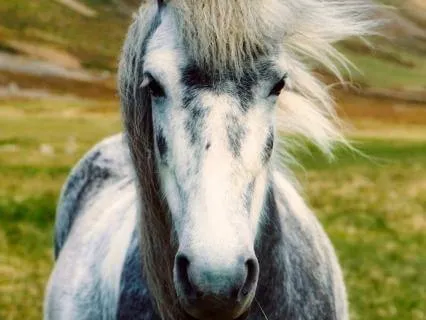 Loving Kindness Morning Meditation - Spiritual Warriorship