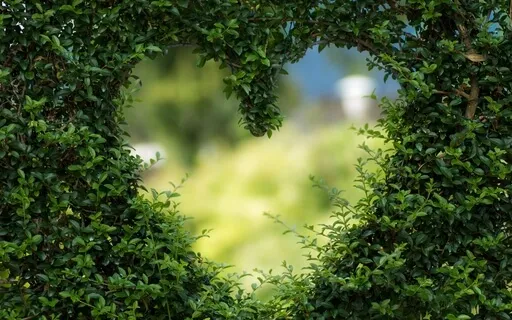 Loving-Kindness Practice