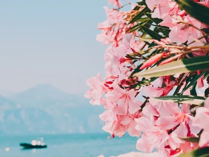 Loving Kindness Practice