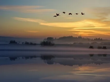 Loving Kindness Practice