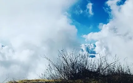 Loving Kindness Practice