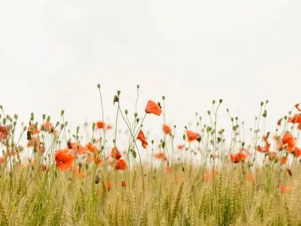 Loving Kindness Practice For All Parts