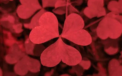 Loving-Kindness: Spreading Compassion In All Directions