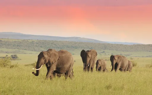 Loving Kindness To All Parts of Us - Internal Family Systems