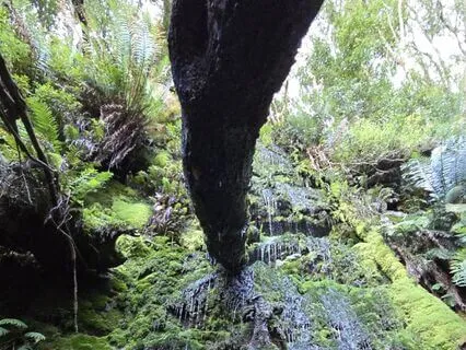 Loving Kindness To Yourself For Today