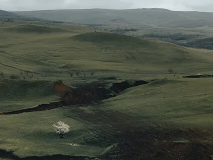 Loving Kindness - Versão Alargada