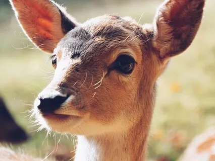 Loving Morning Meditation