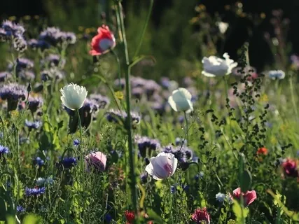 Loving Myself Just As I AM