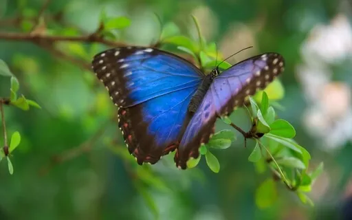 Loving Our Bodies With Harry Potvin