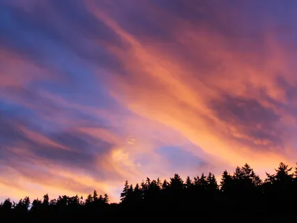 Loving Ourselves Through The Discomfort