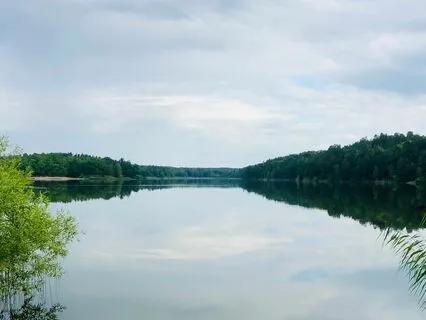 Loving Presence & Stillness Meditation