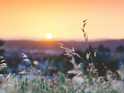 Loving Presence Yoga Nidra