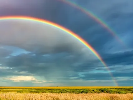 Loving Rainbow Kindness 