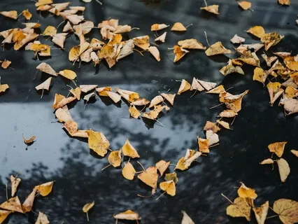 Loving Weight Loss - Affirmation Meditation