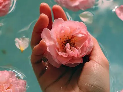 Loving What Hurts || A Meditation For Lupus