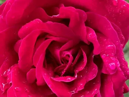 Loving Witness For A Broken Heart