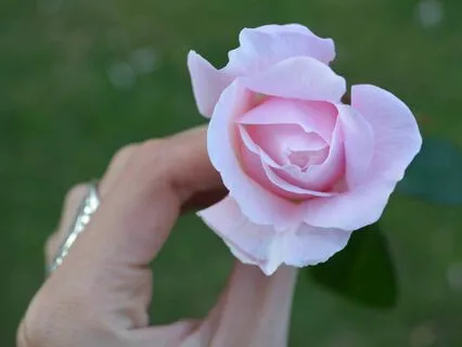 Loving Words For Motherhood