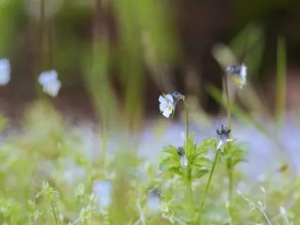 Loving You Is Easy – Contemplation