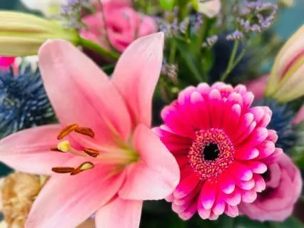 Loving Your Changing & Aging Body