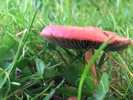 Loving Your Spouse Who Believes Differently Than You