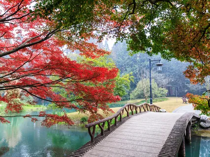 Loving Your Thoughts (A Meditation With Gongs)