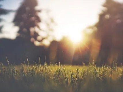 Loving Your Unique Life