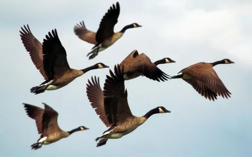 Loving Yourself And All Beings