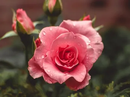 Loving Yourself & Celebrating Who You Are