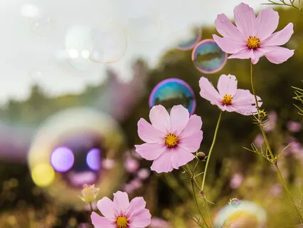 Loving Yourself & Explore Your Ecstasy Of Pleasure