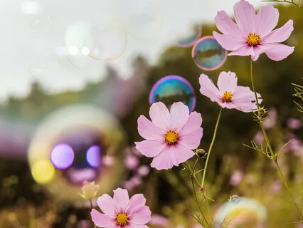 Loving Yourself - Eating Pleasure - A Phantasy Food Journey