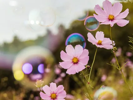 Loving Yourself - Embracing Your Emotions