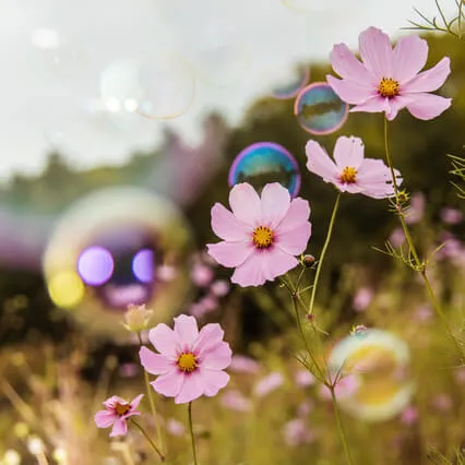 Loving Yourself In Full Abundance With Money 