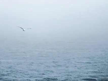 Loving Zen Music For Relaxation
