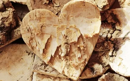 Lovingkindess For Self (Short)