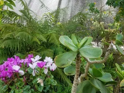 Lovingkindness And Resilience