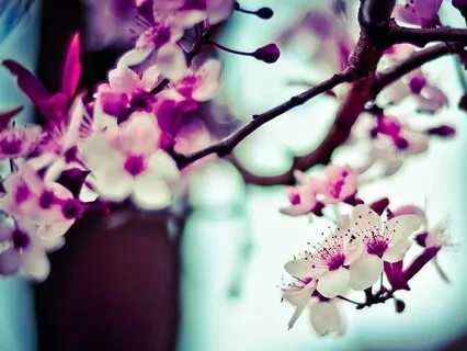 Lovingkindness (Chesed) Practice For Self