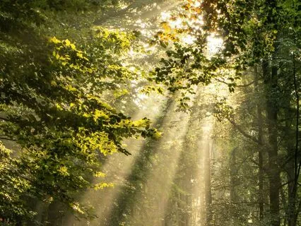 Lovingkindness Deep Immersion