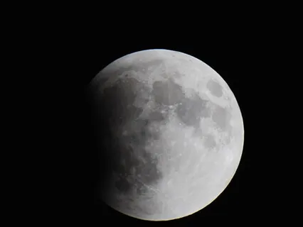 Lovingkindness for Beginners (MSC)