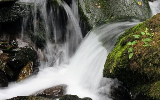 LovingKindness For Our Bodies