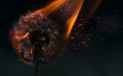 Lovingkindness For Writers Under Fire