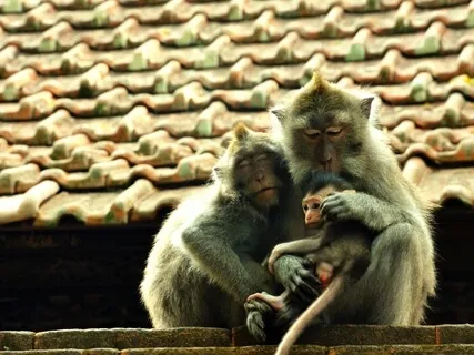 Lovingkindness Guided Meditation: Widening Circles