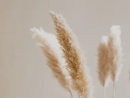 Lovingkindness In All Directions