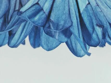 Lovingkindness Meditation For Couples