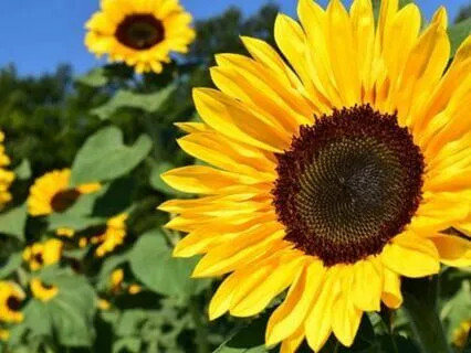 Lovingkindness Meditation For Happiness