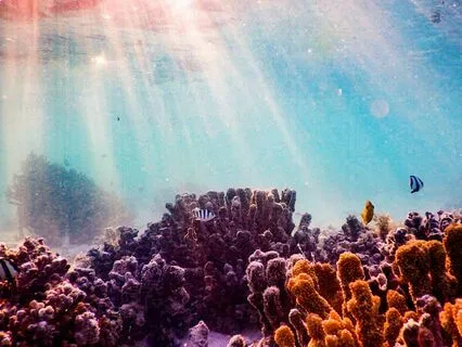 Lovingkindness Meditation For Peace