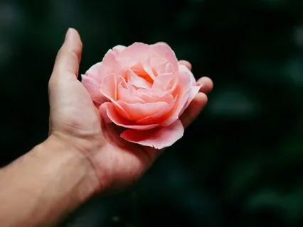 Lovingkindness Meditation For Self-Hatred